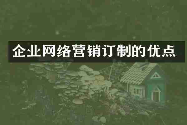 企业网络营销订制的优点
