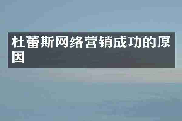 杜蕾斯网络营销成功的原因