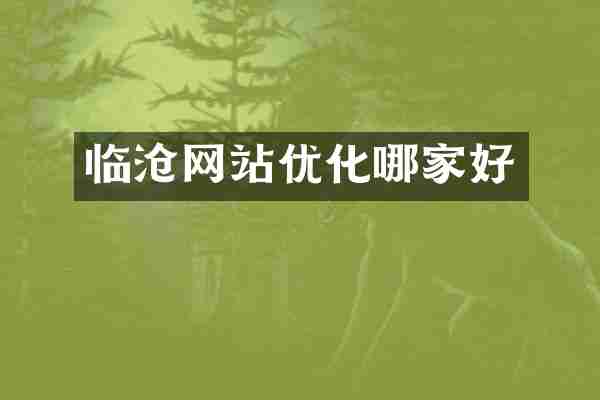 临沧网站优化哪家好