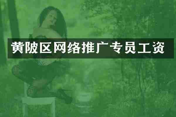 黄陂区网络推广专员工资