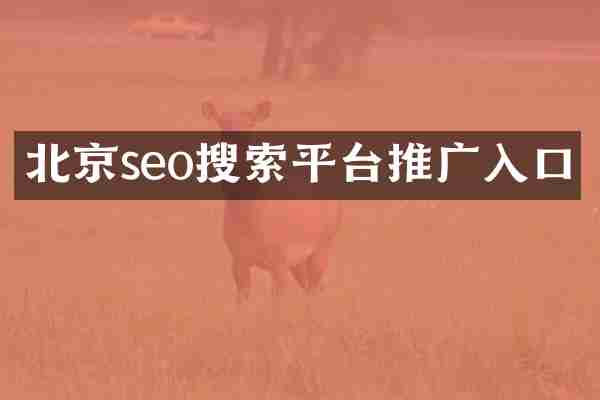 北京seo搜索平台推广入口