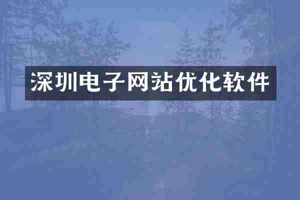 深圳电子网站优化软件