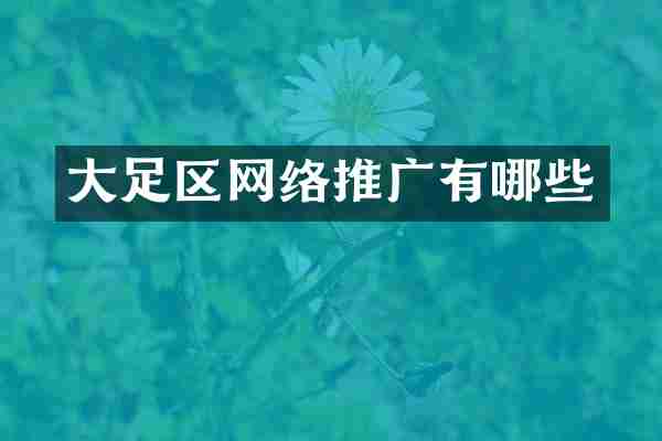 大足区网络推广有哪些