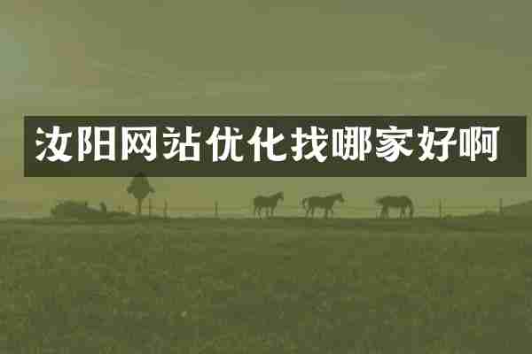 汝阳网站优化找哪家好啊