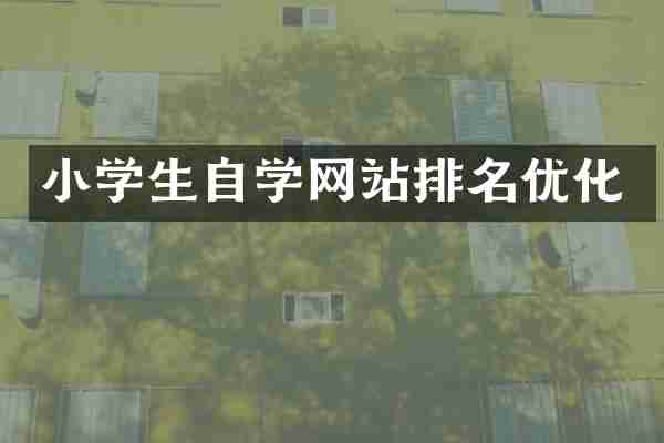 小学生自学网站排名优化