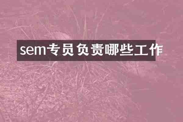 sem专员负责哪些工作