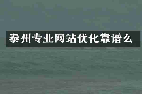 泰州专业网站优化靠谱么
