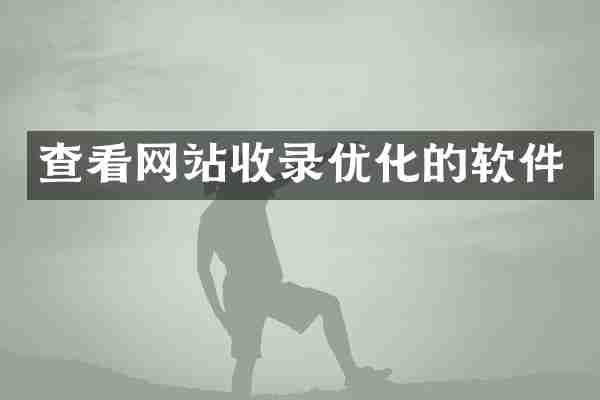查看网站收录优化的软件