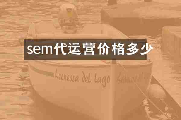 sem代运营价格多少