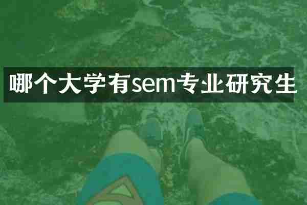 哪个大学有sem专业研究生