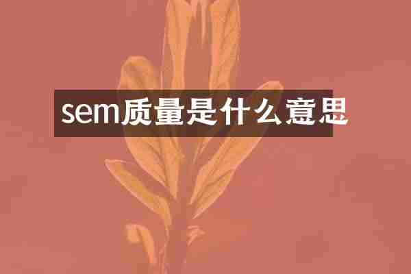 sem质量是什么意思