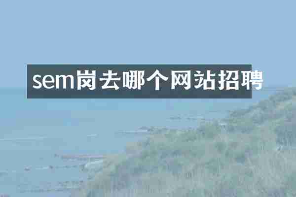 sem岗去哪个网站招聘