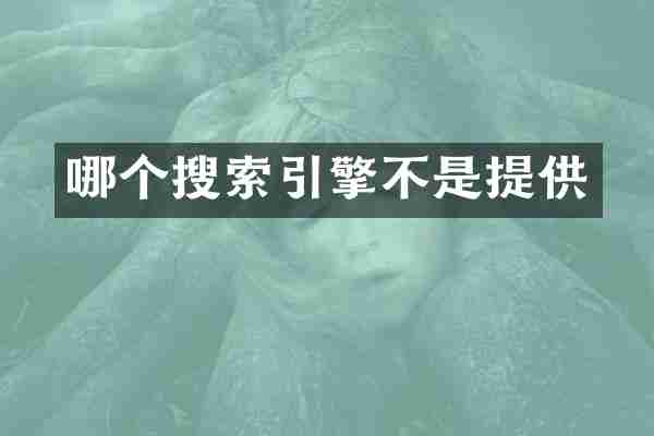 哪个搜索引擎不是提供