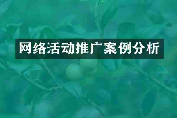 网络活动推广案例分析