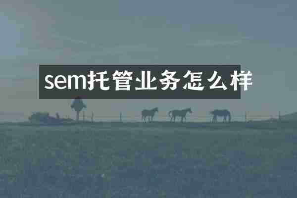 sem托管业务怎么样