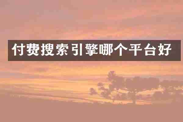 付费搜索引擎哪个平台好