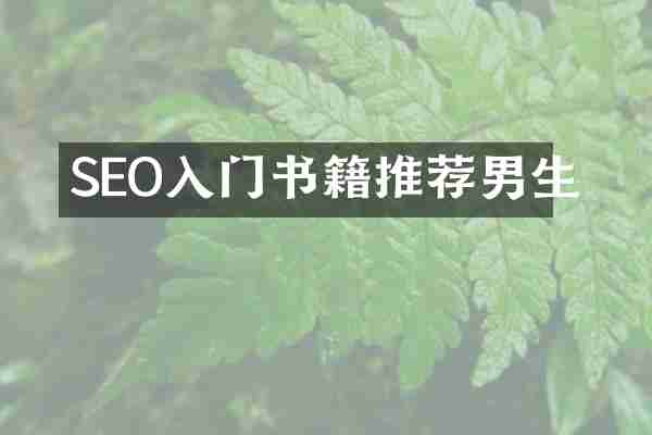 SEO入门书籍推荐男生
