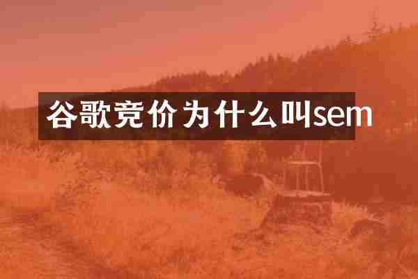 谷歌竞价为什么叫sem