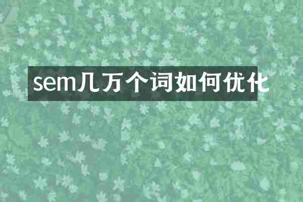 sem几万个词如何优化