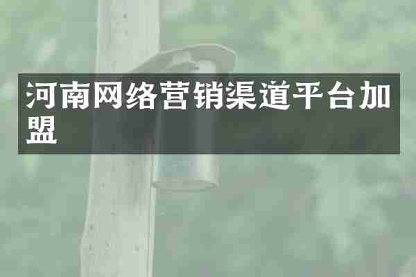 河南网络营销渠道平台加盟