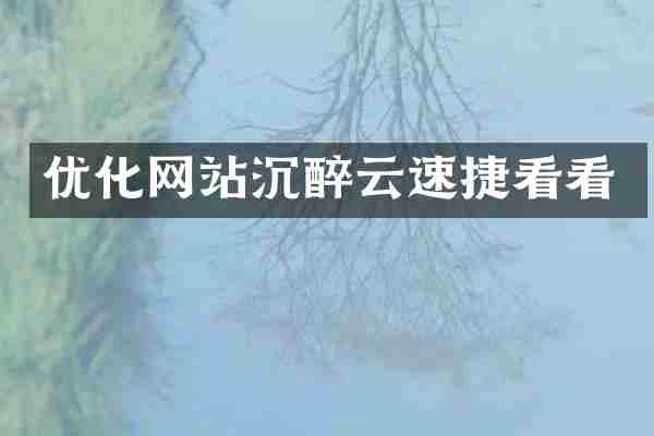 优化网站沉醉云速捷看看