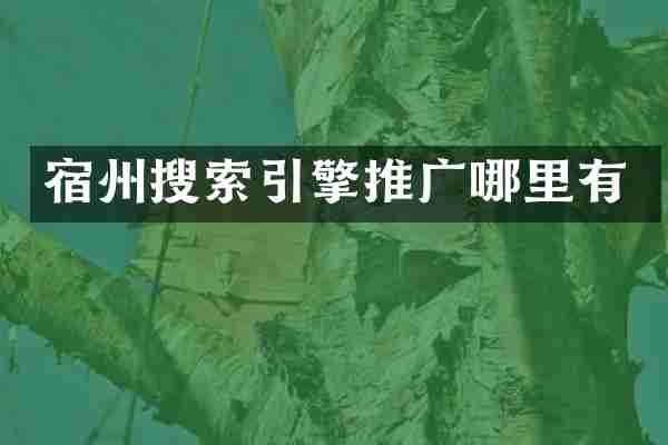 宿州搜索引擎推广哪里有