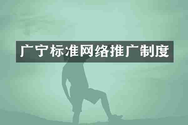 广宁标准网络推广制度