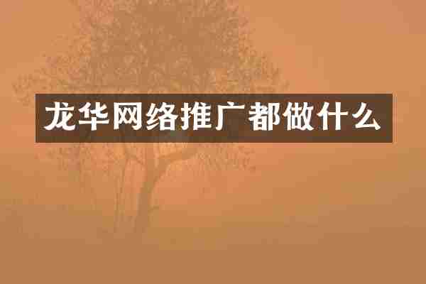 龙华网络推广都做什么