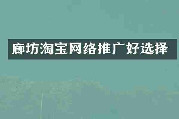 廊坊淘宝网络推广好选择