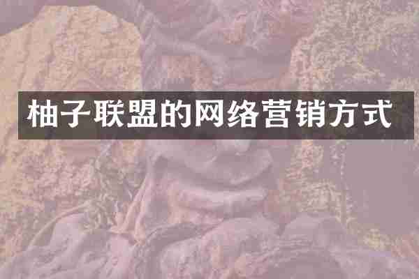 柚子联盟的网络营销方式