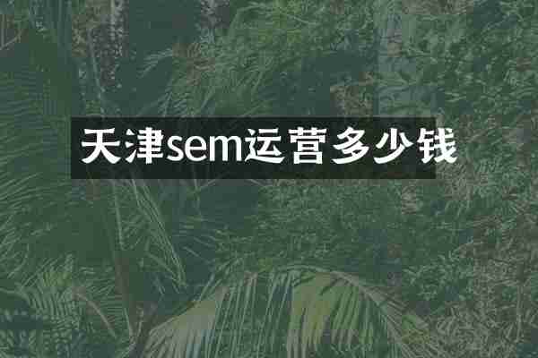 天津sem运营多少钱