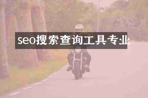 seo搜索查询工具专业