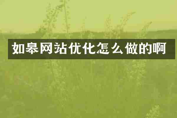 如皋网站优化怎么做的啊
