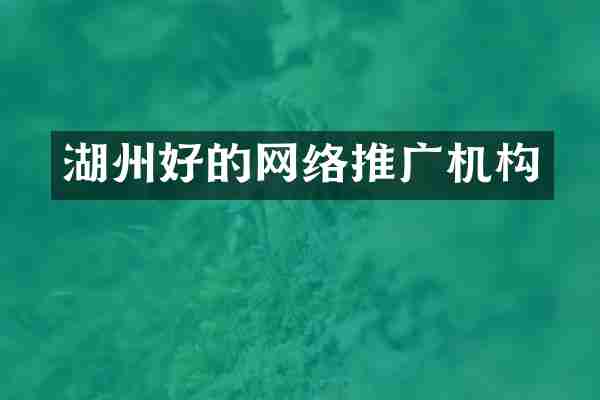 湖州好的网络推广机构