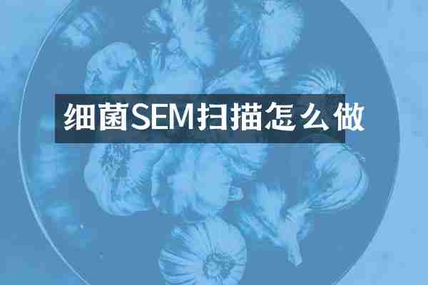 细菌SEM扫描怎么做