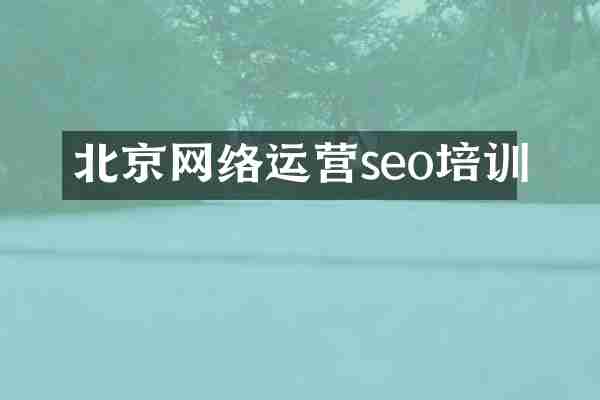 北京网络运营seo培训