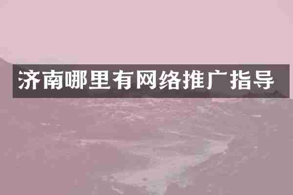 济南哪里有网络推广指导