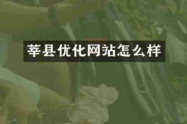 莘县优化网站怎么样