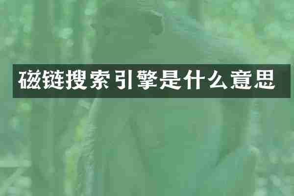 磁链搜索引擎是什么意思