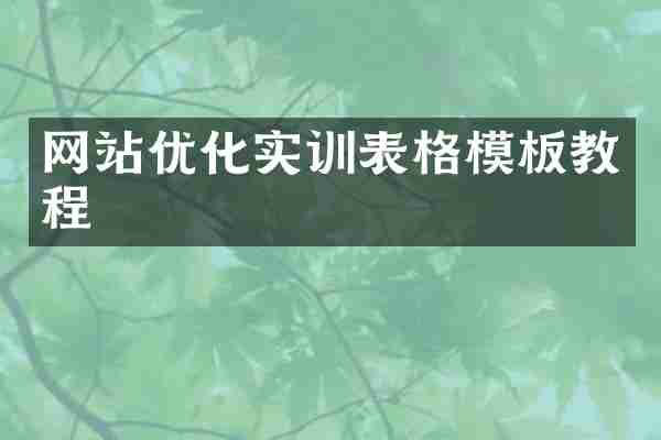 网站优化实训表格模板教程