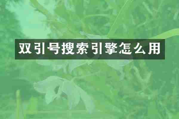 双引号搜索引擎怎么用