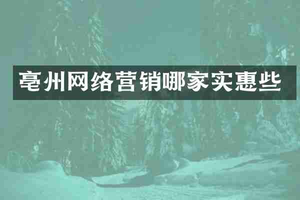亳州网络营销哪家实惠些