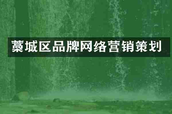 藁城区品牌网络营销策划