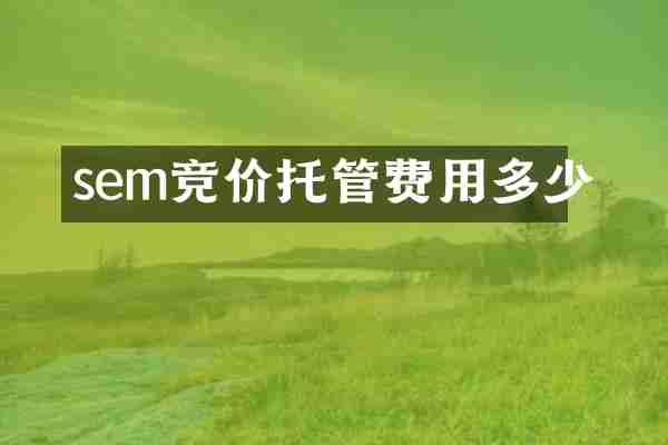 sem竞价托管费用多少