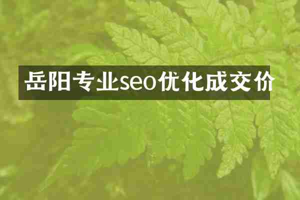 岳阳专业seo优化成交价