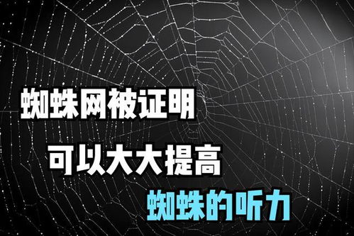 百度蜘蛛池引流:揭秘百度蜘蛛池，网络世界中的隐形推手