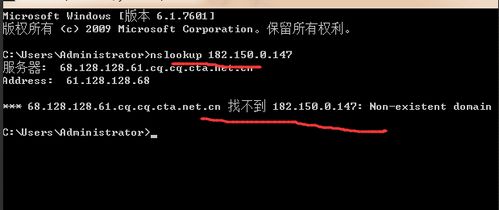 百度蜘蛛池效果:揭秘站群蜘蛛池广告策略，低成本高效率的营销利器