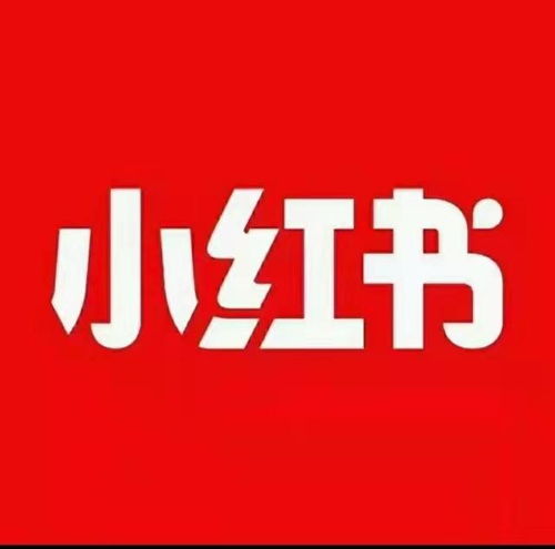 小红书seo排名帝搜软件