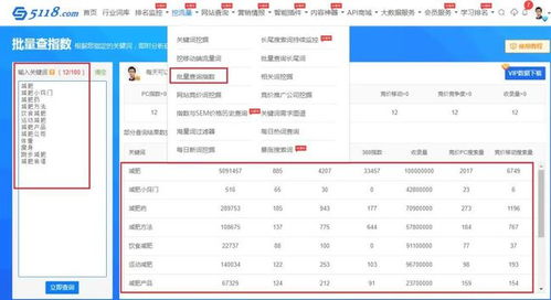 搜索排名提升