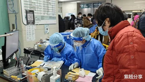 上海已经开始二次感染了